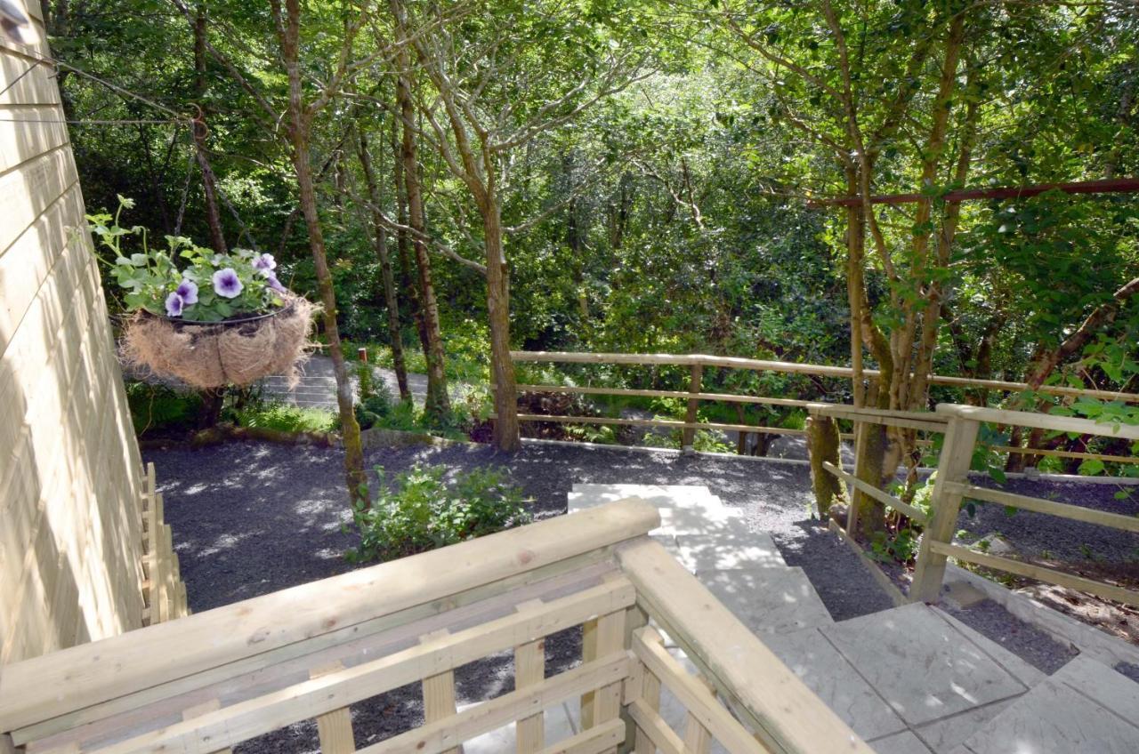 Tawny Lodge Westport Exterior photo